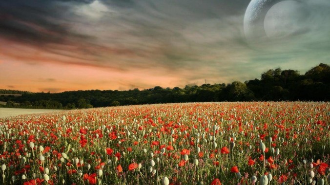 为什么市场不制作***黄油？